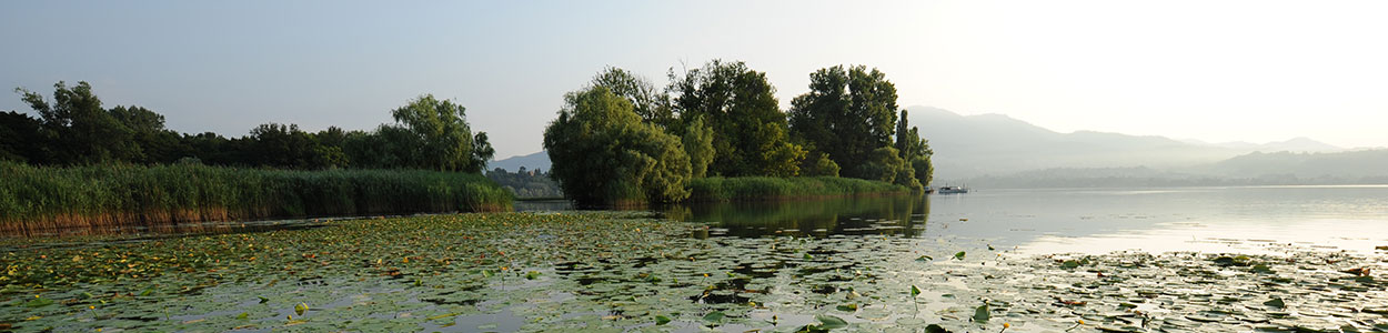 Navigando sul lago di Varese, alla scoperta dei villaggi palafitticoli